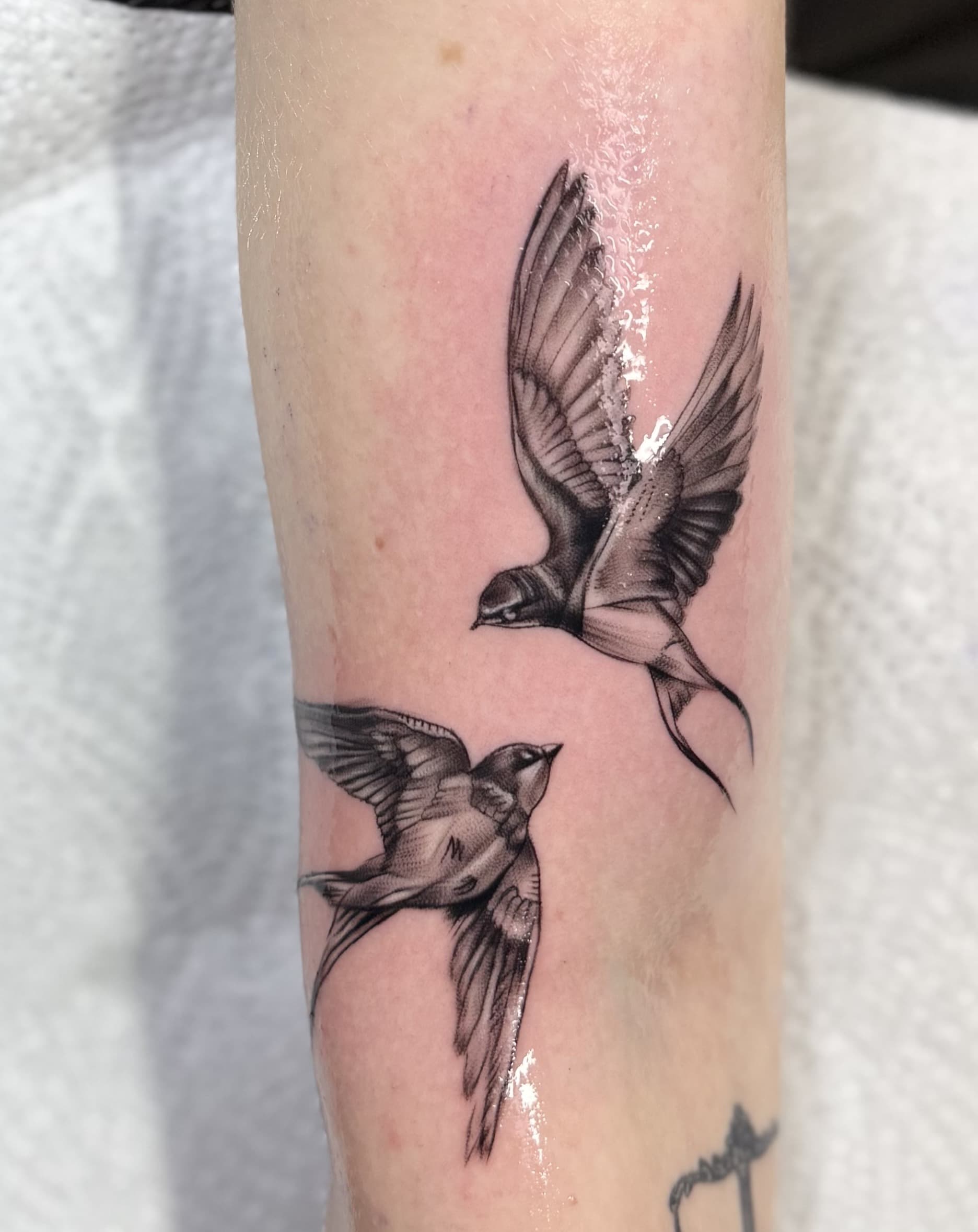 Zwei Schwalben im Flug Tattoo, Unterarm, Realistic, Landshut