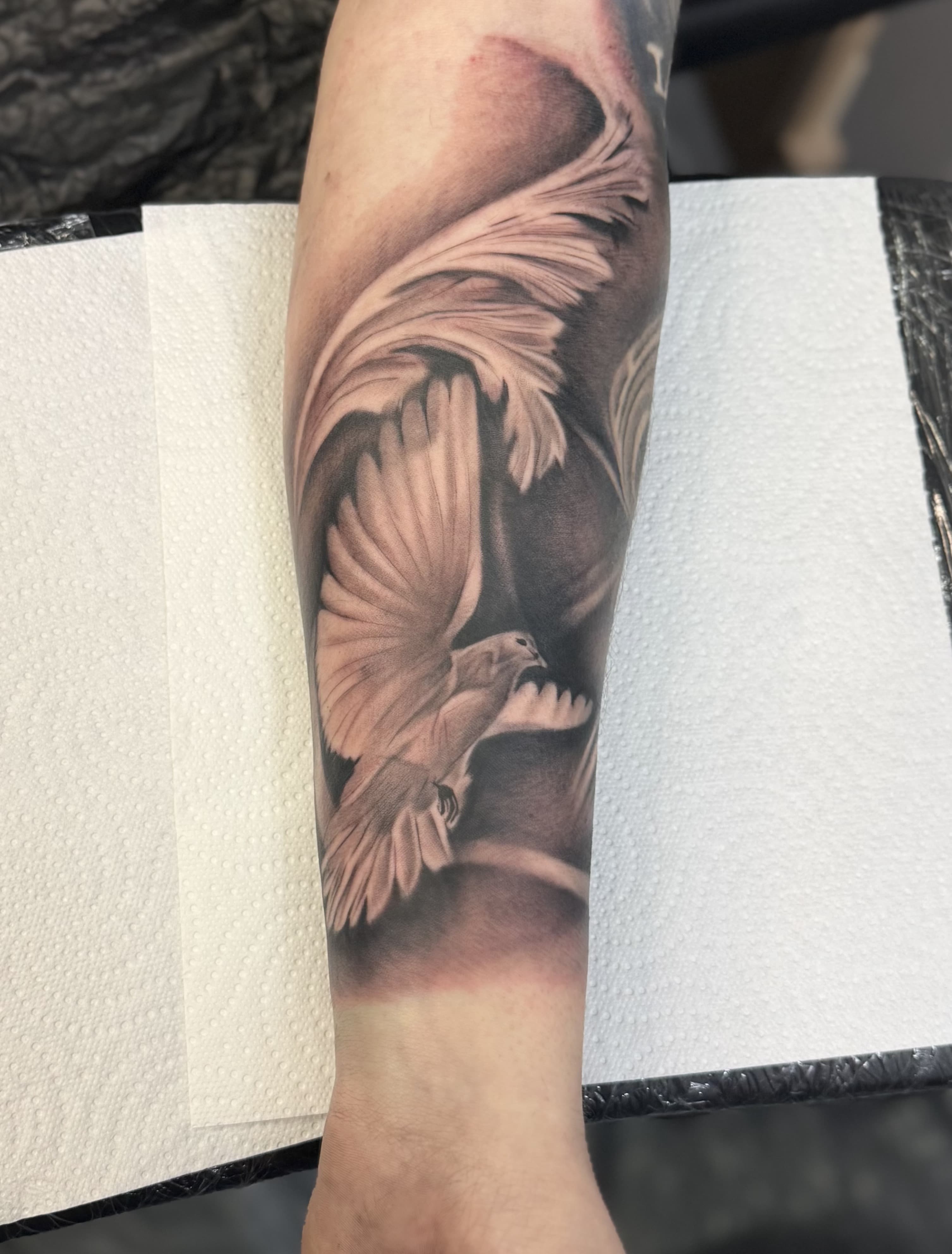 Taube mit Feder-Flügel Tattoo, Unterarm, Realistic, Landshut